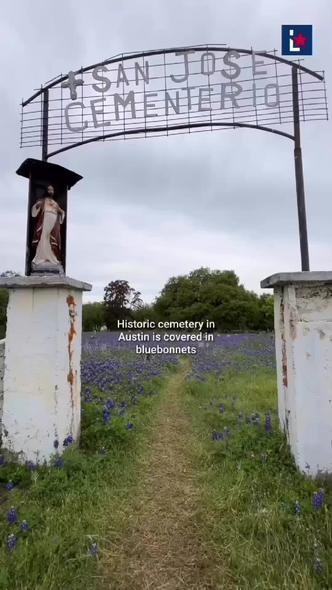 @LoneStarLive