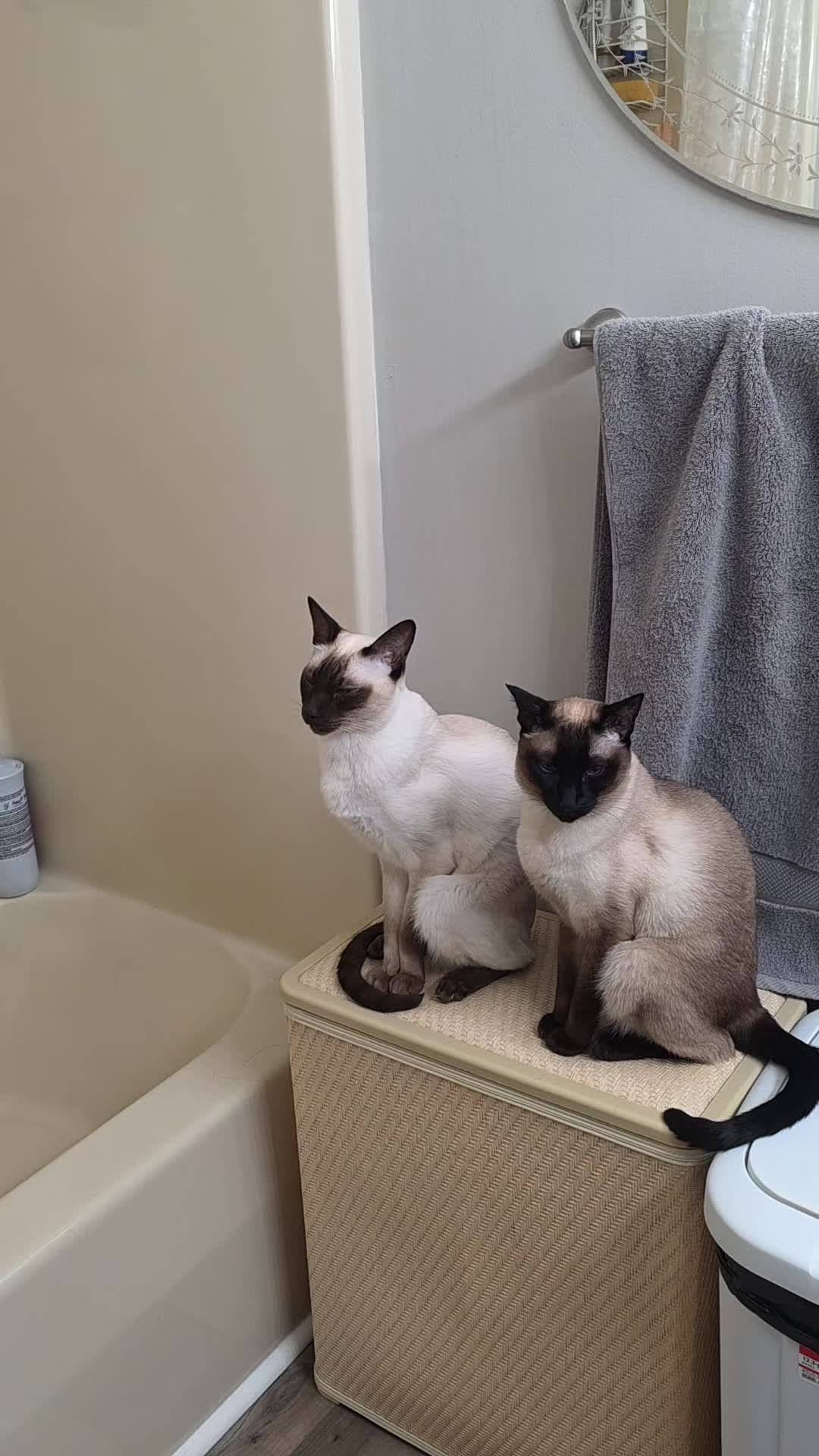 @Molly_and_Sammy