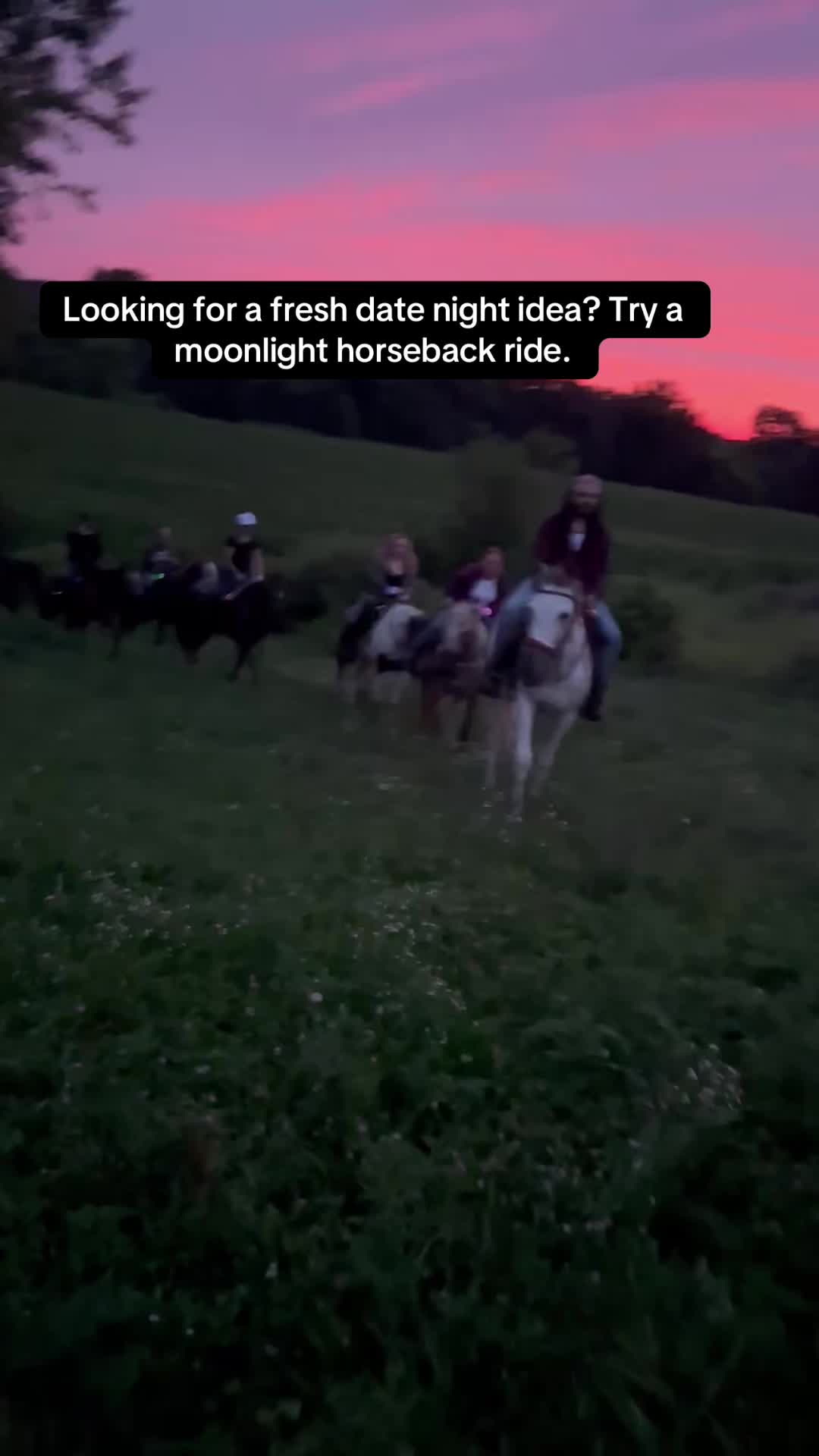 @SaddleSnaps