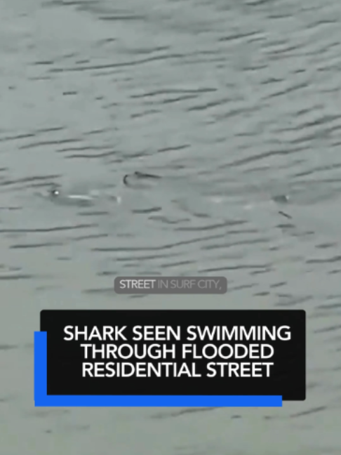 @KTLA 5 News