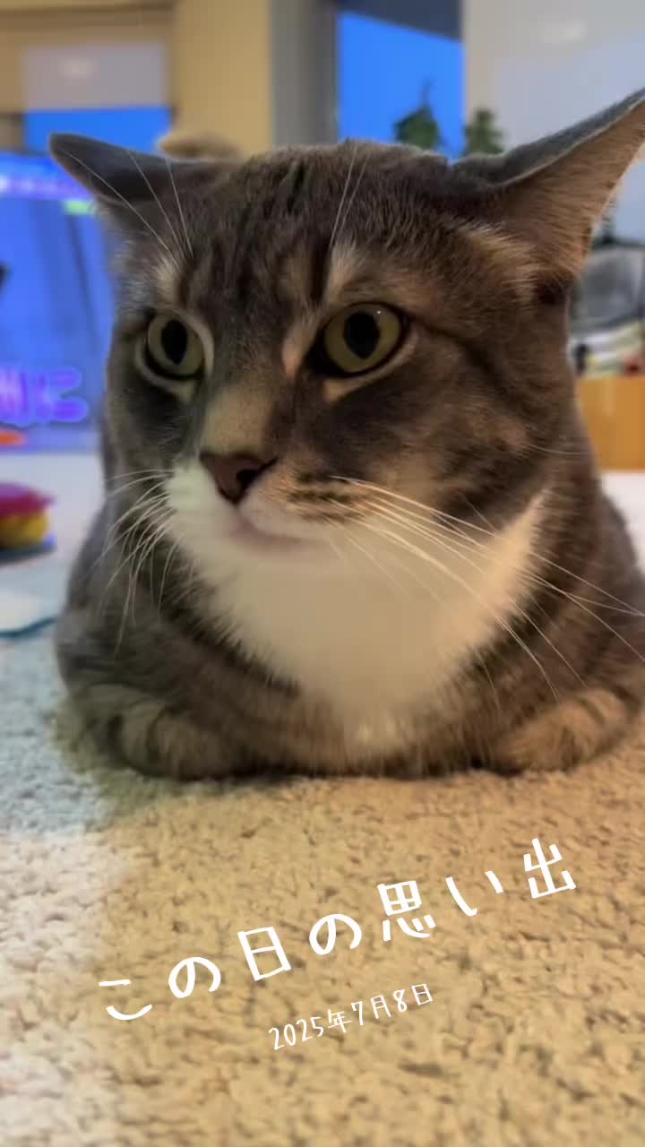 @็ซใฎใใ๐ฑ