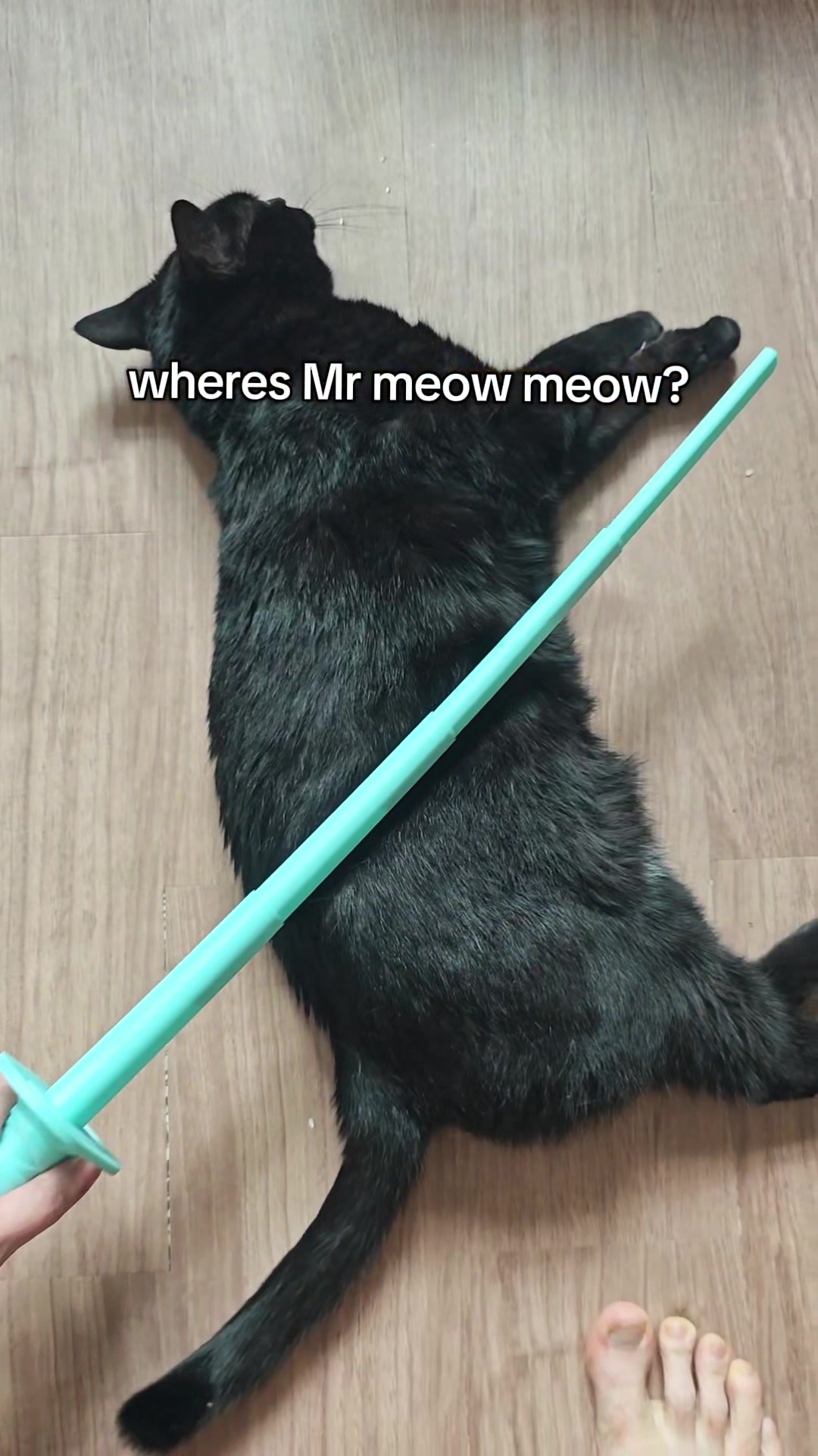 @jangimiau