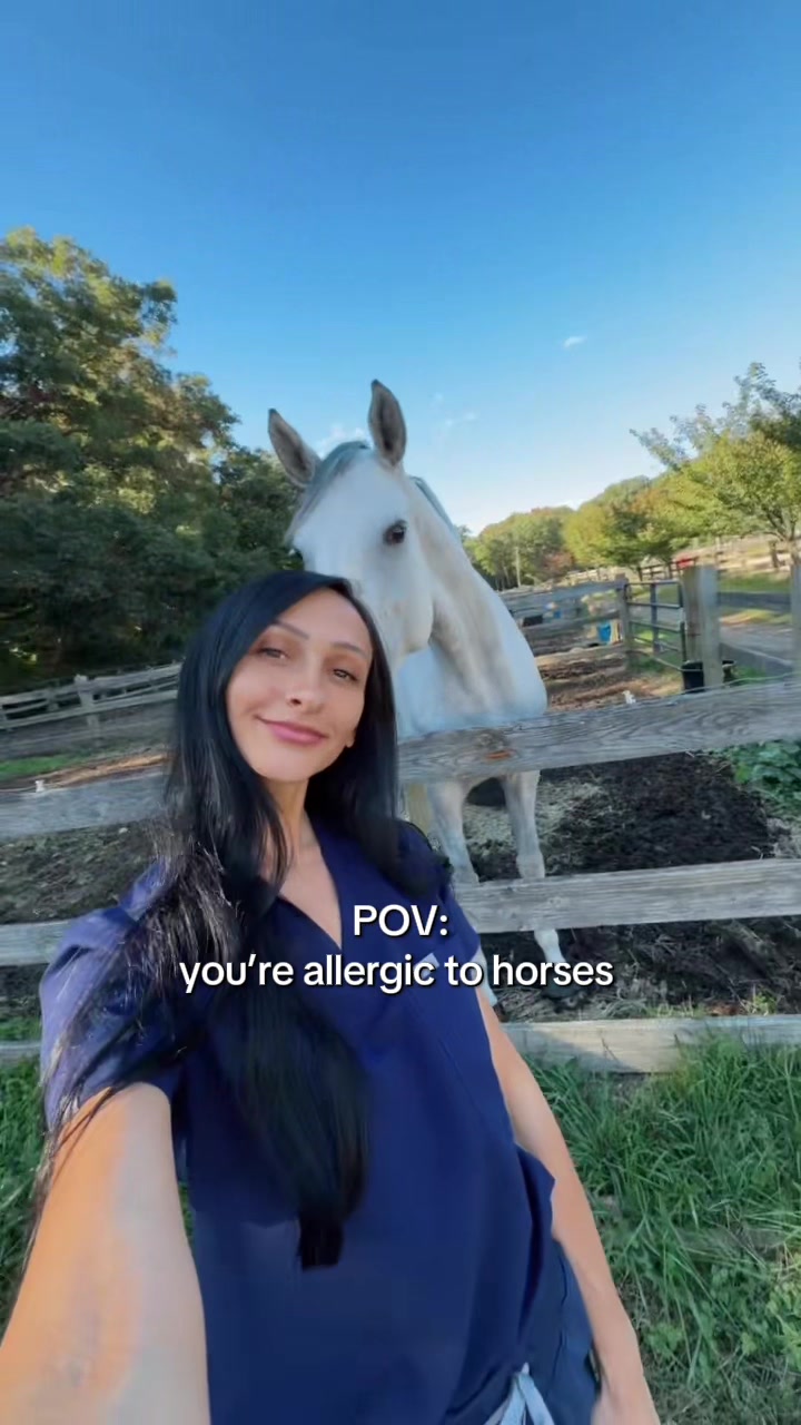 @noesanico