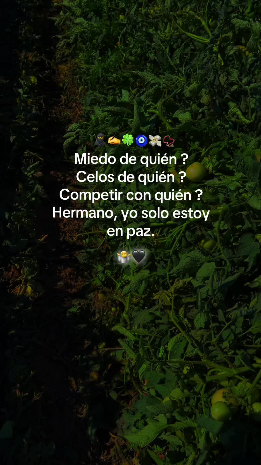 @Carnalito  4.20_🍀🎱