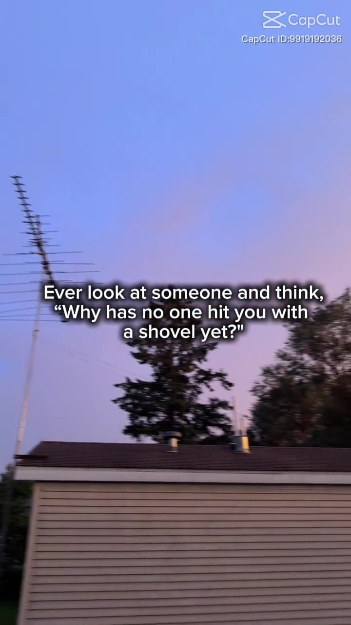 @Midnight-Whispers