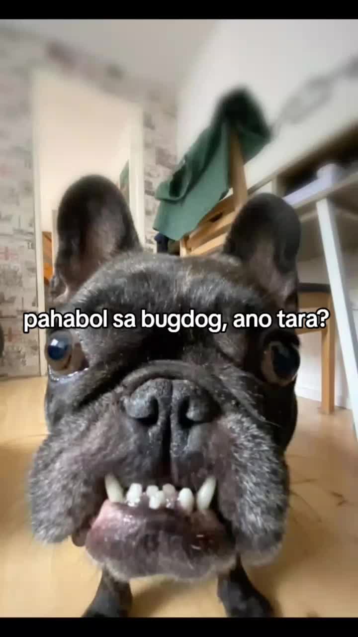 @🌜