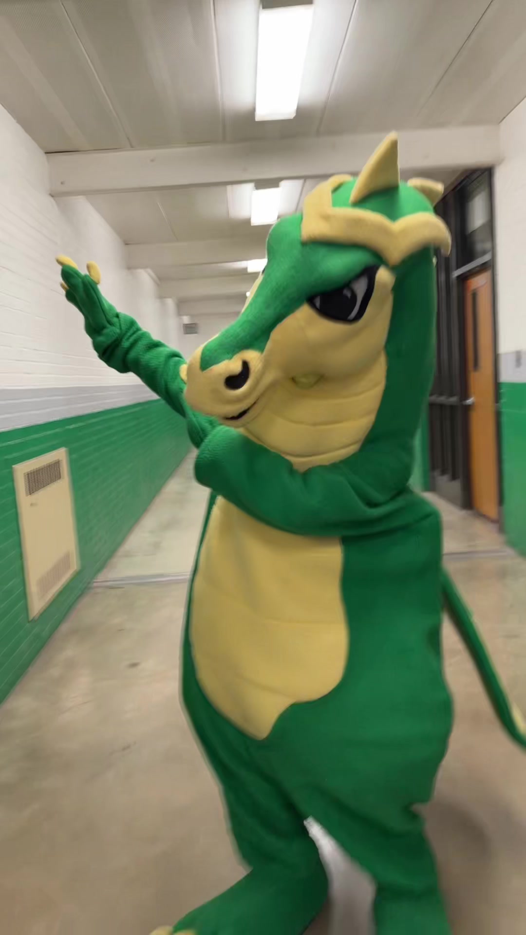 @SGHS mascot