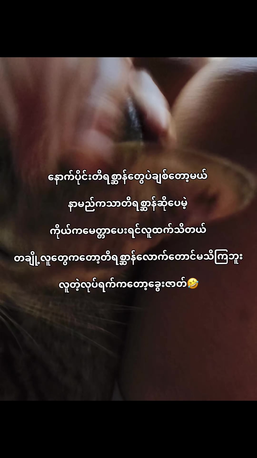 @đ đđąđ¸đ¸ / TLWM đ