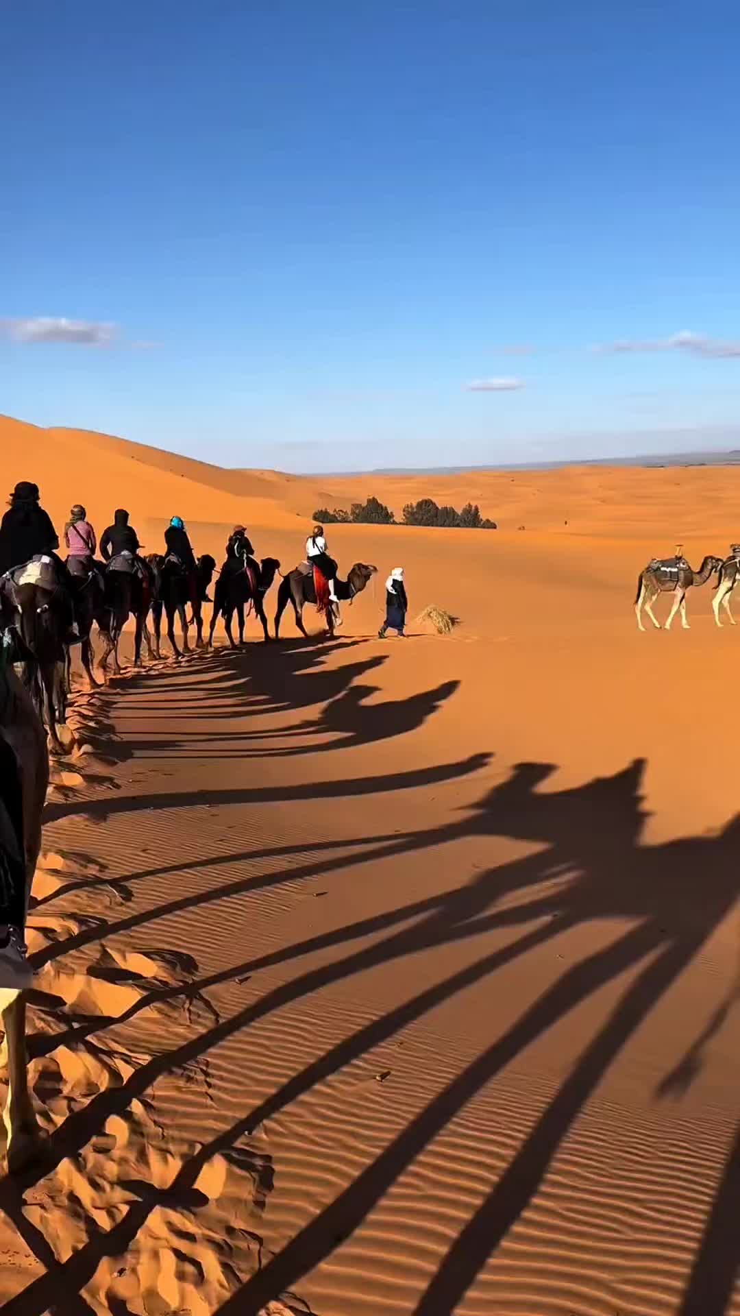 @Merzouga Globe 🌎