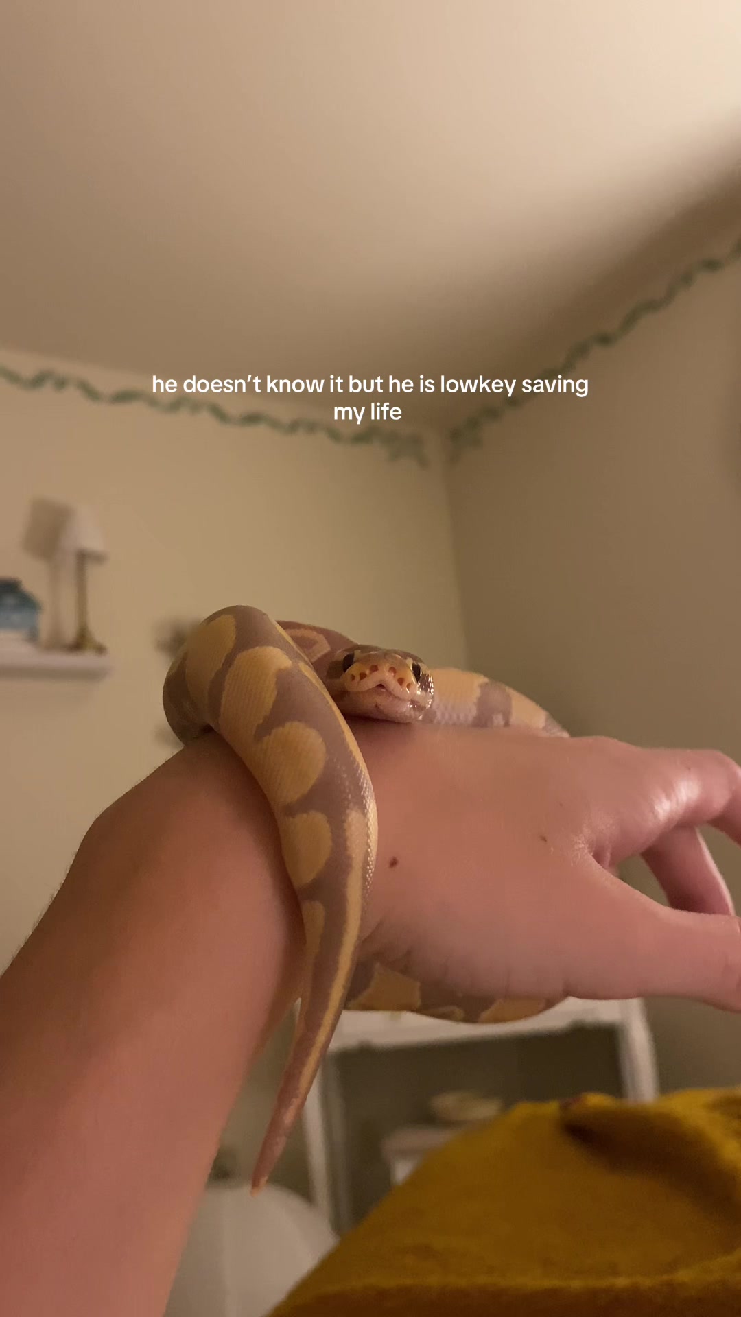 @Holly Jean