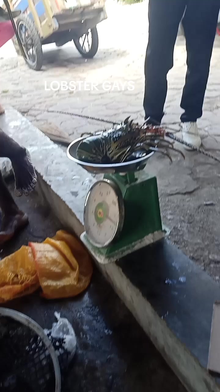 @Dedi Jufri