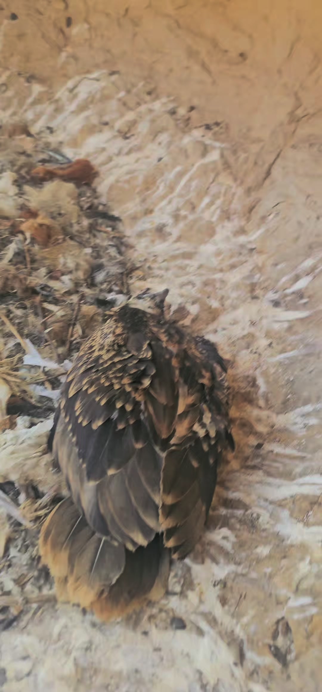 @⚔️ابوجهاد⚔️