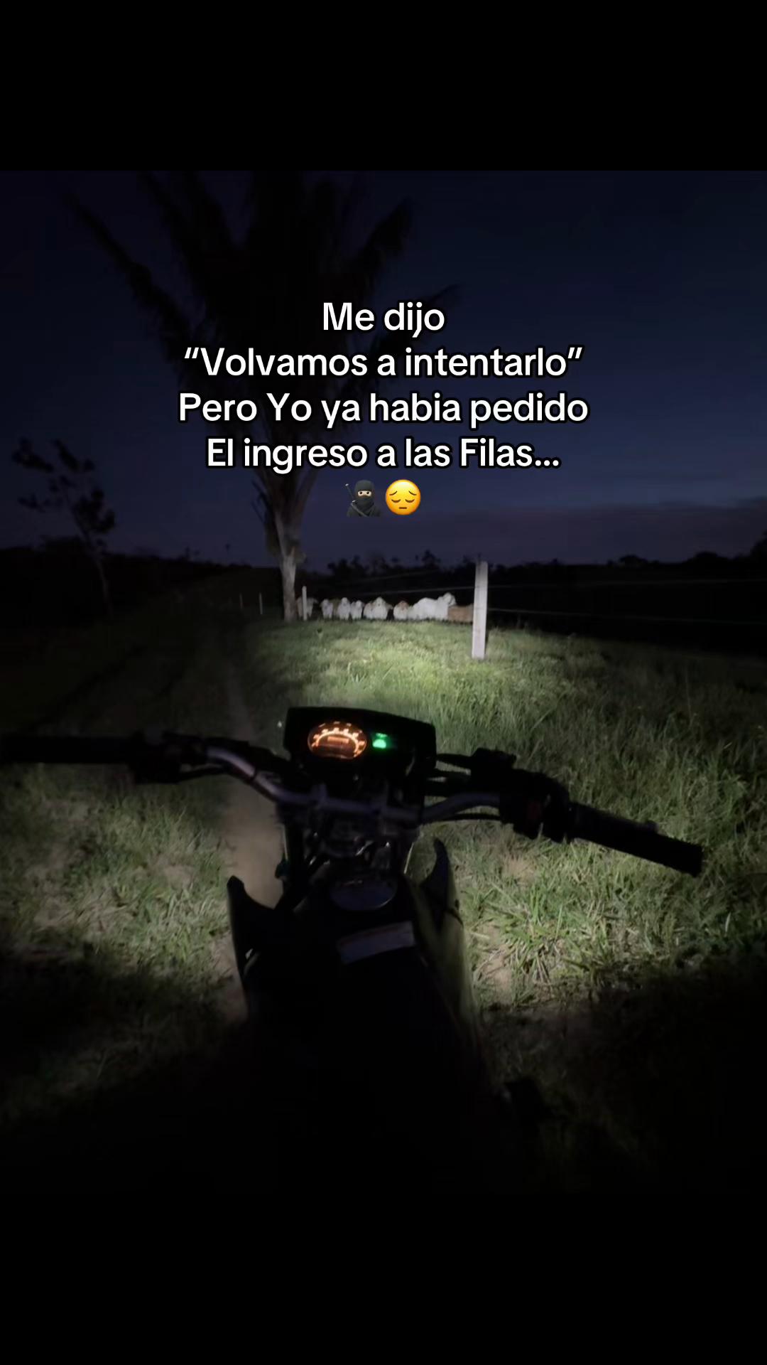 @Didier_🤠