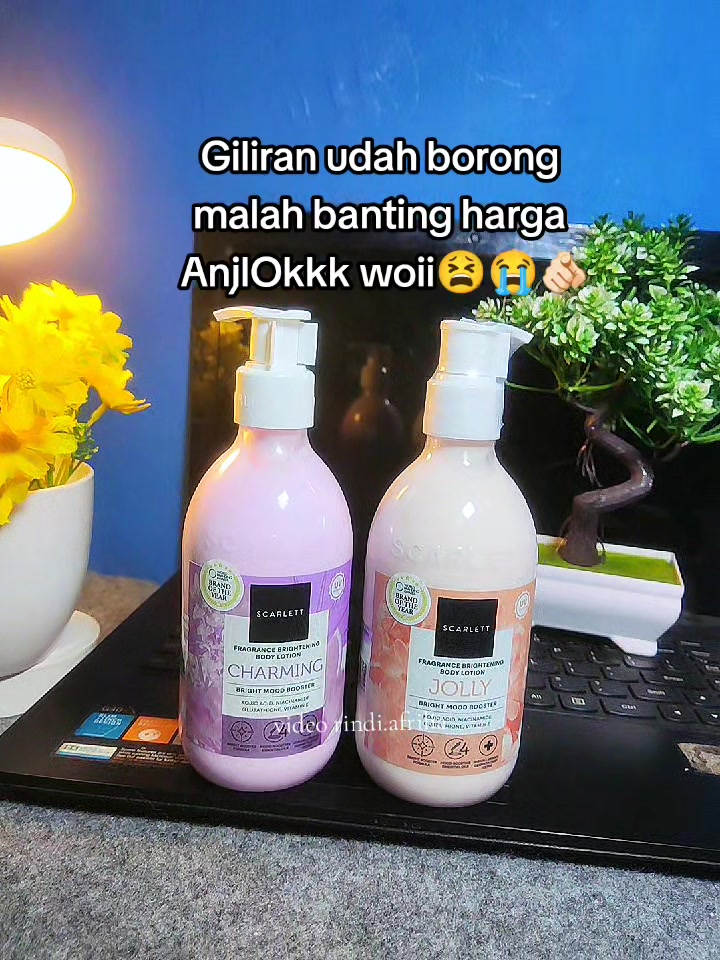 @Rindi Afrilia𝜗𝜚✨