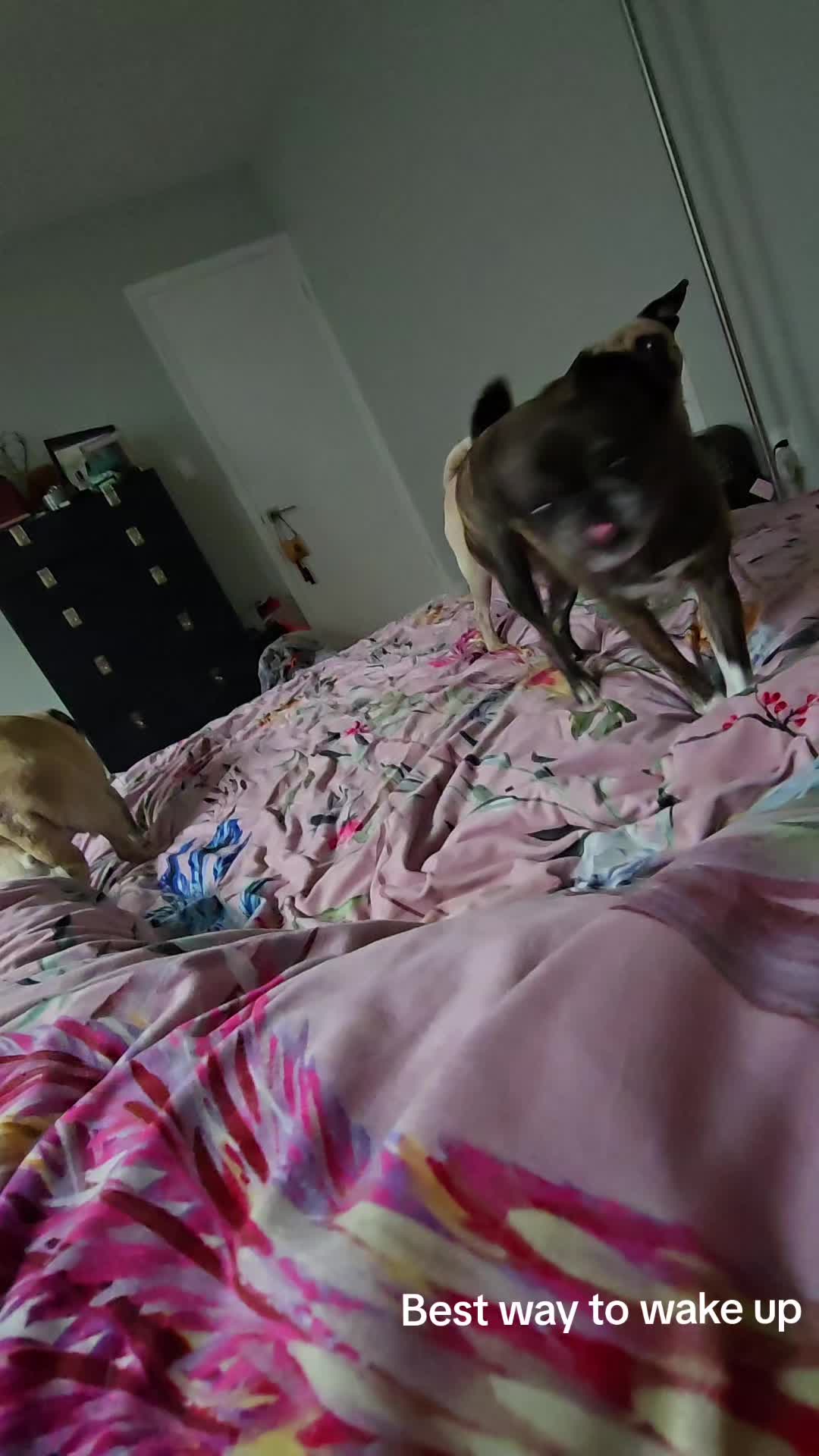 @Bah Humpug