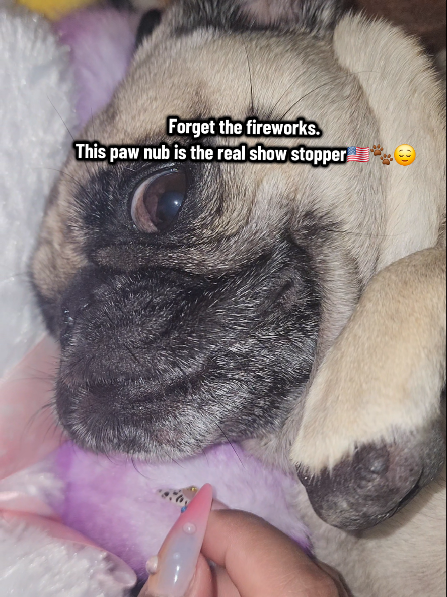 @Lulu