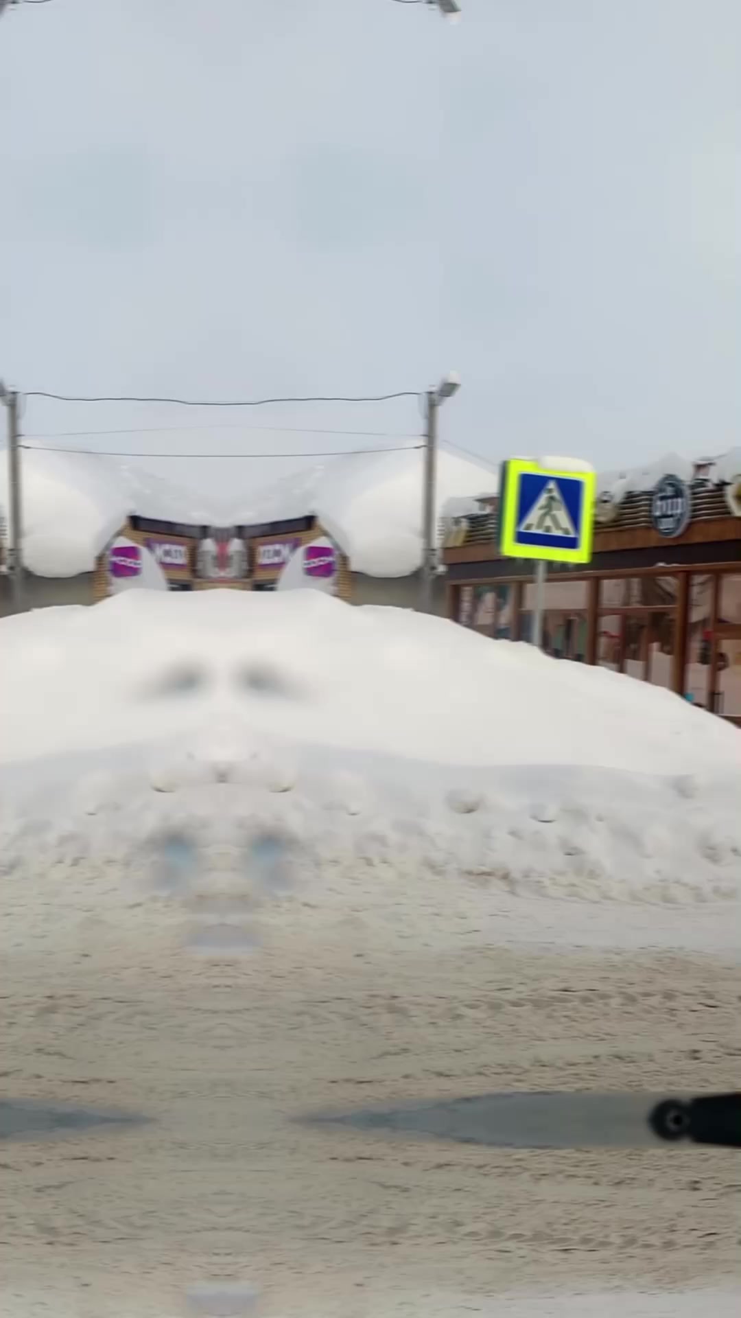 @vladimir