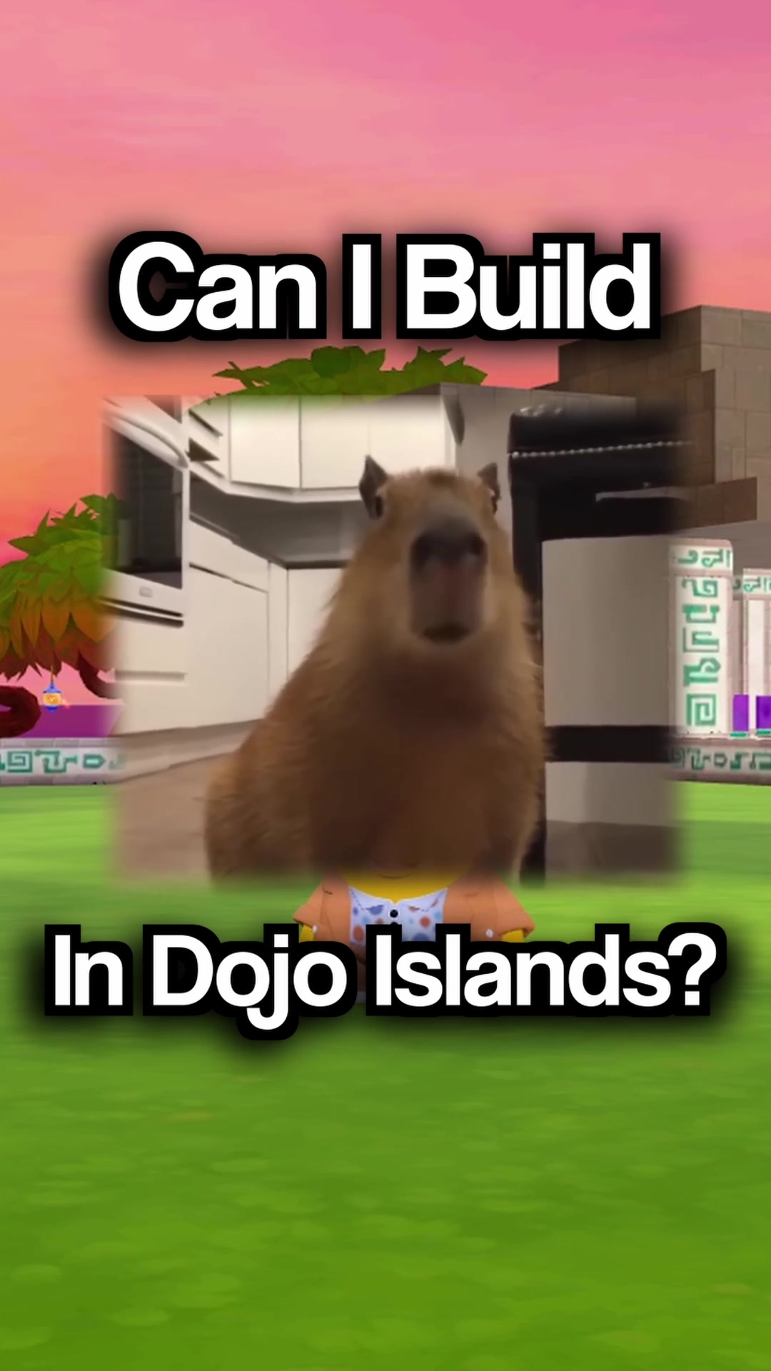 @ClassDojo