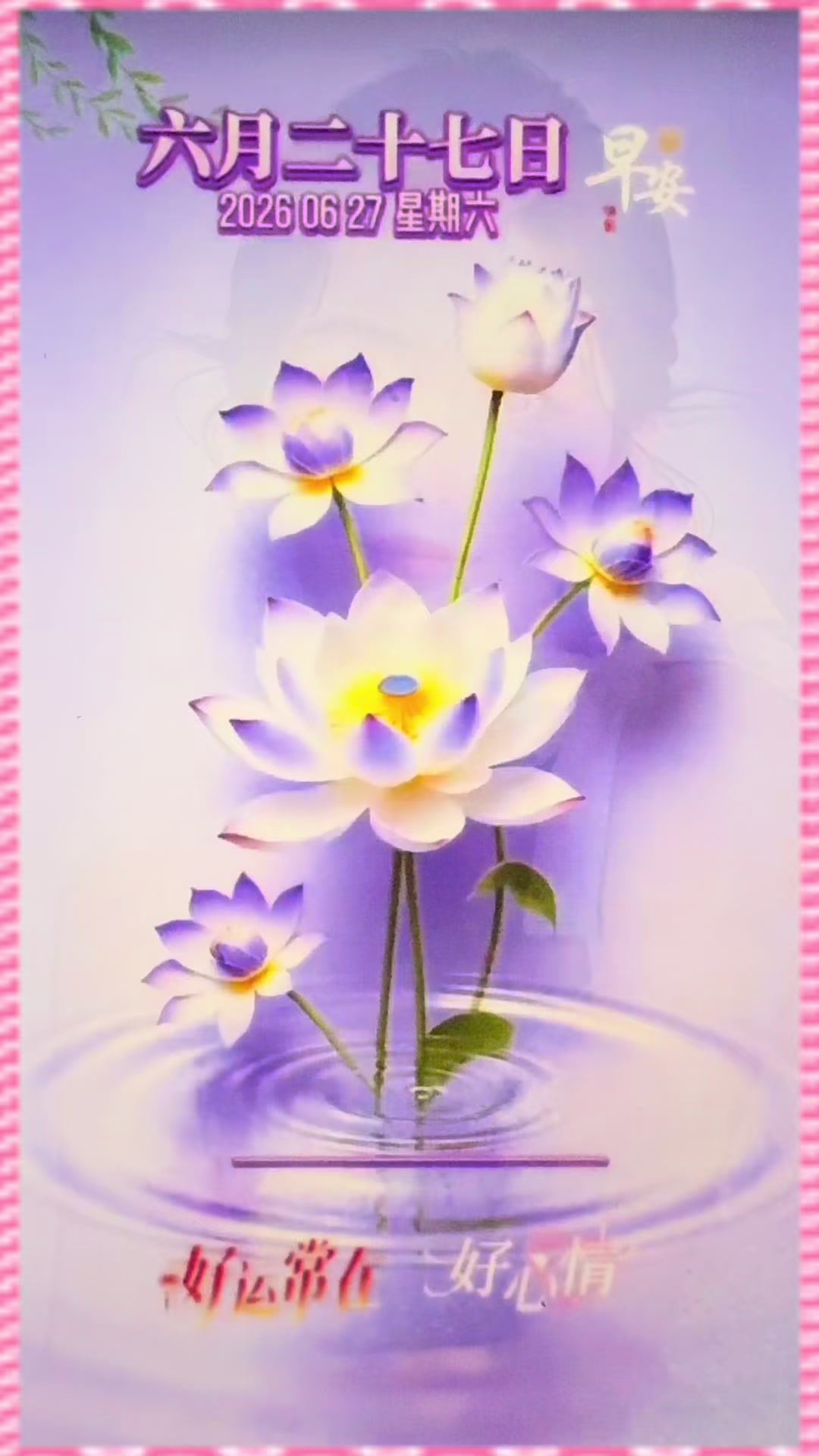@leolin91912