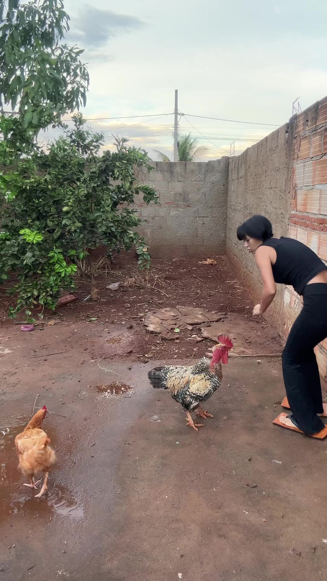 @Geovanatts