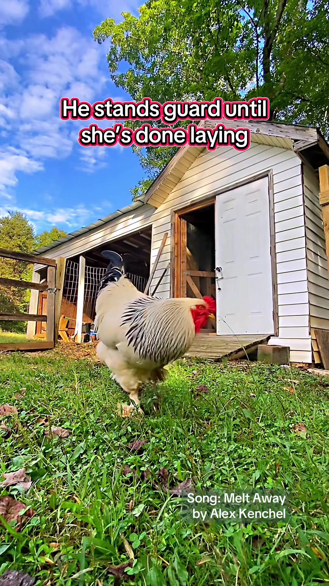 @A&ensp;Ł&ensp;E&ensp;x&ensp;&ensp;&ensp;K&ensp;E&ensp;N&ensp;C&ensp;H&ensp;E&ensp;Ł
