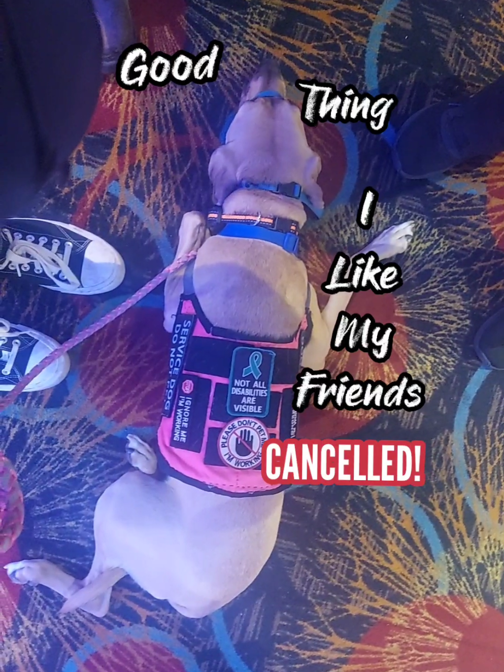 @🐕&zwj;🦺 Kat Johnson 🐾