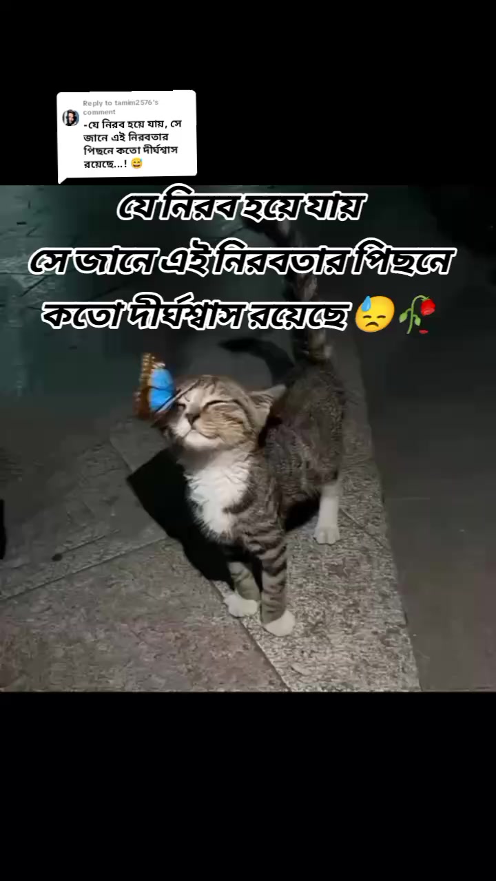 @shehzadi 014