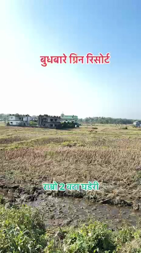 @Maikal ghar jagga