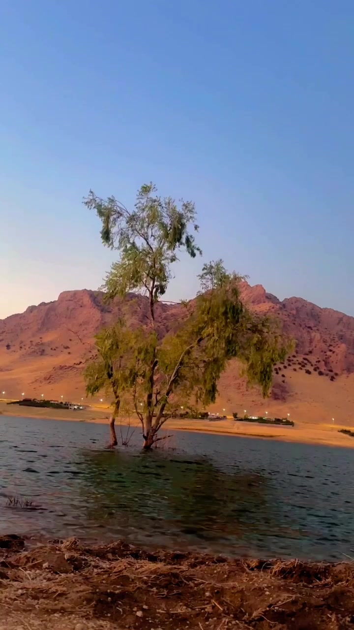@Hersh Tarenae 🌎 هێرش تارینەیی