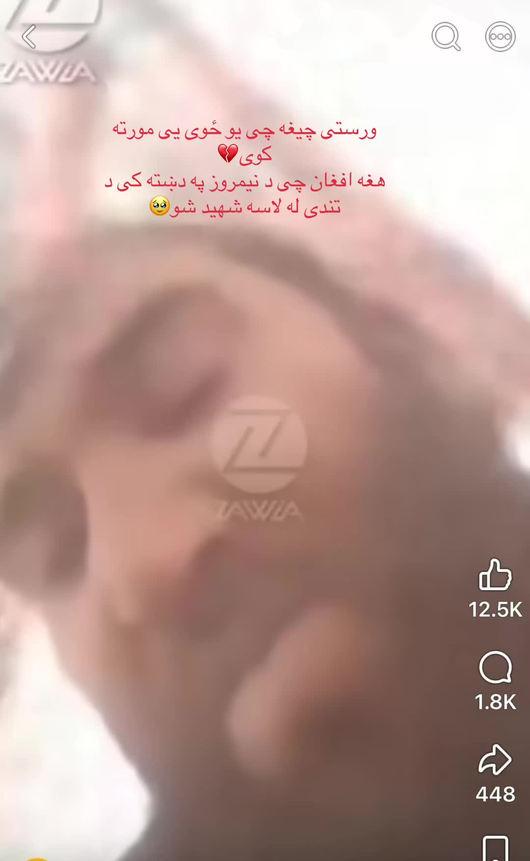 @Zohar Audi