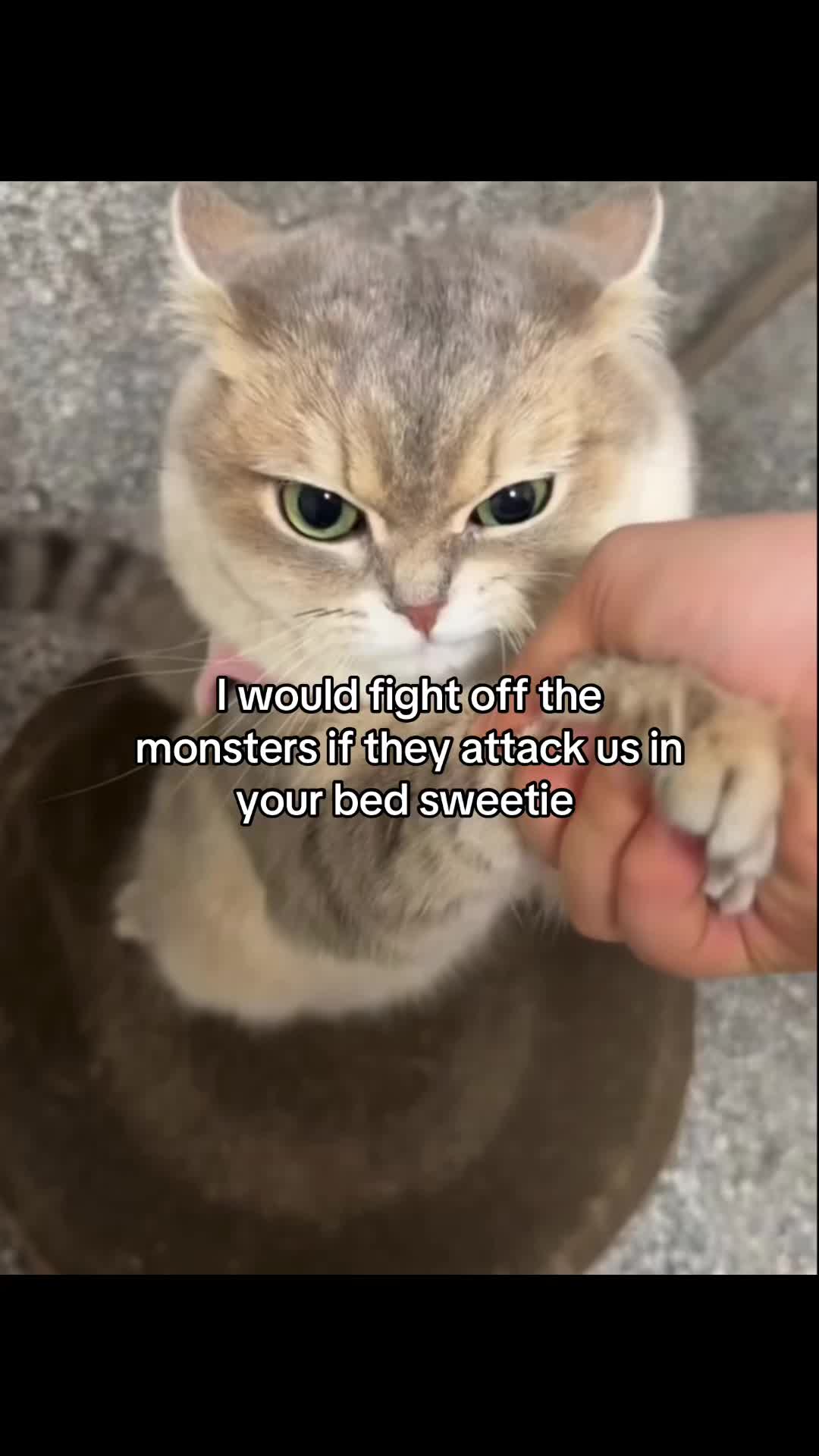 @Boxi