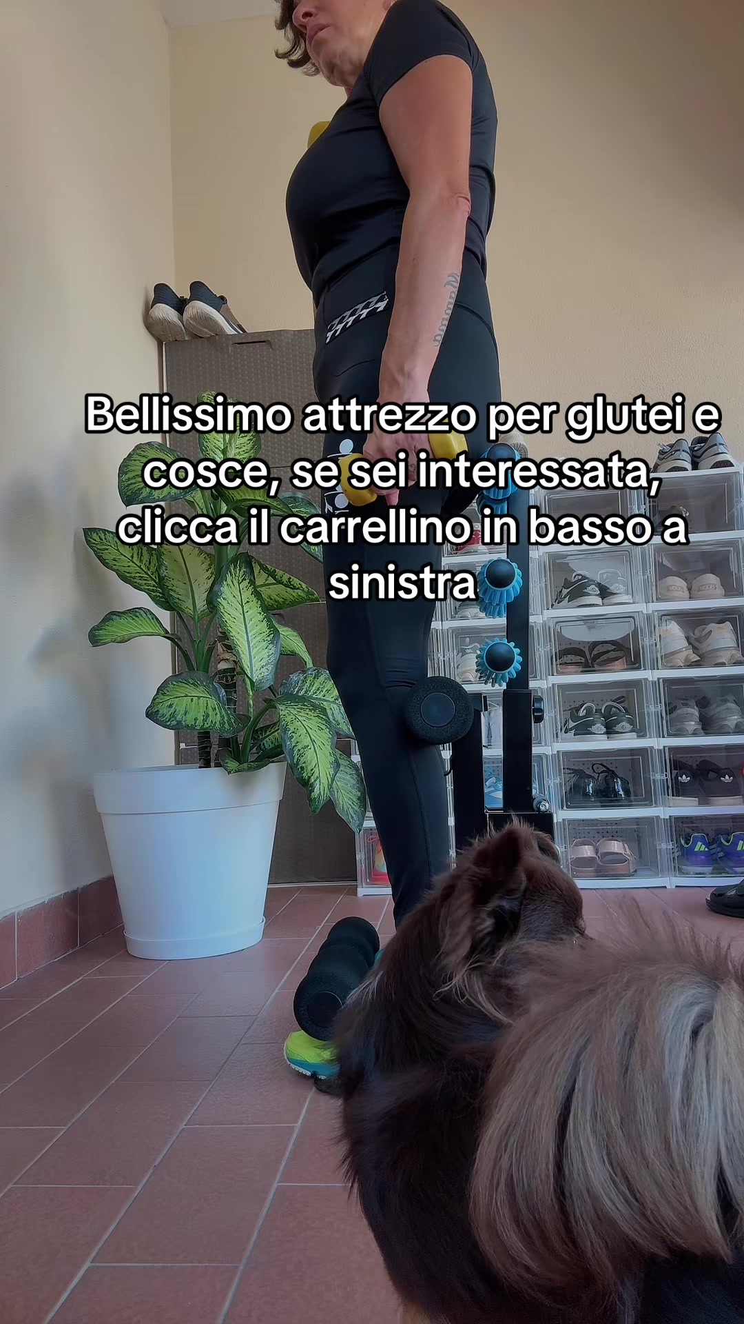 @Monia Guerriera