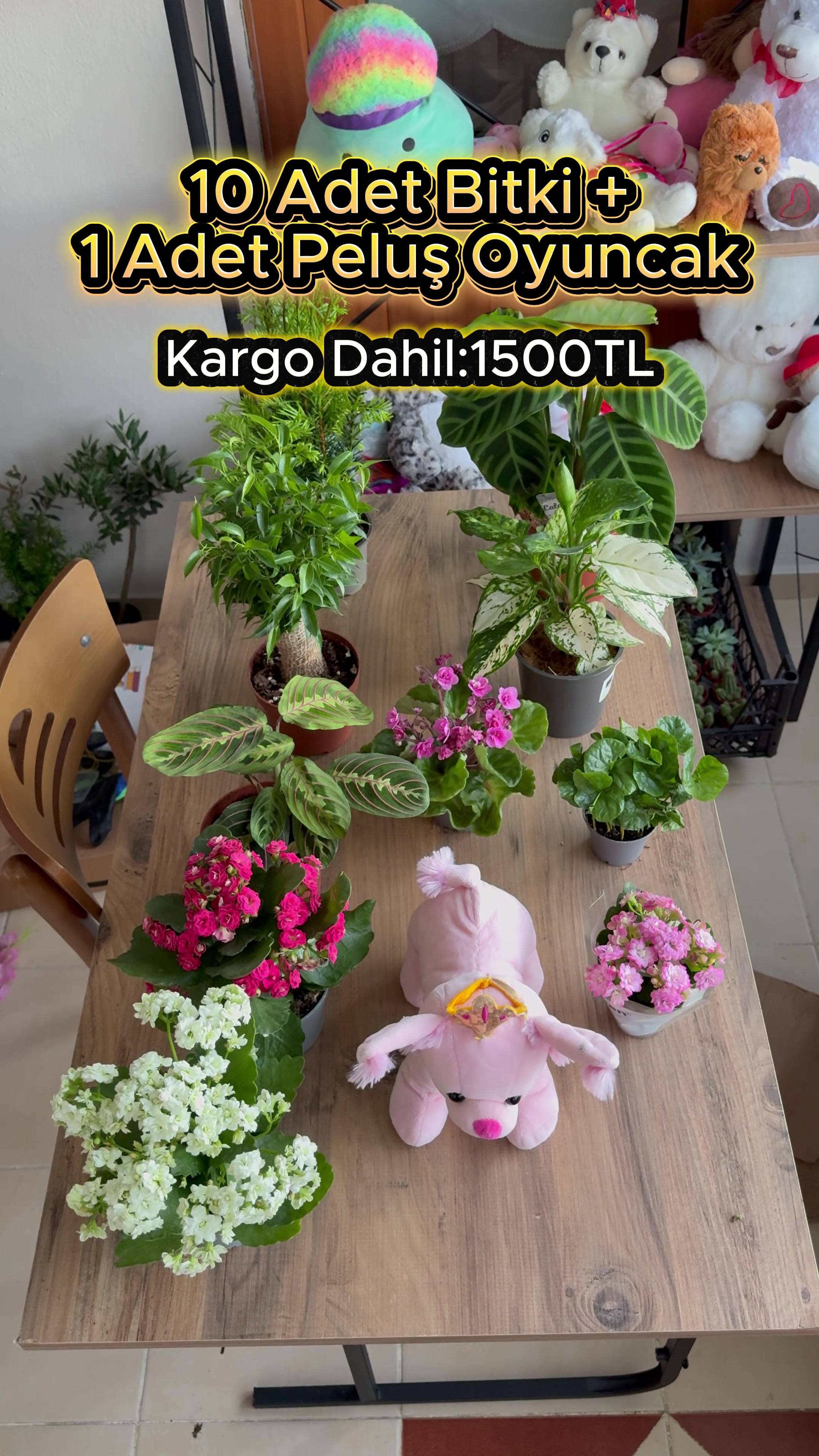@Saklı bah&ccedil;e Bitkileri