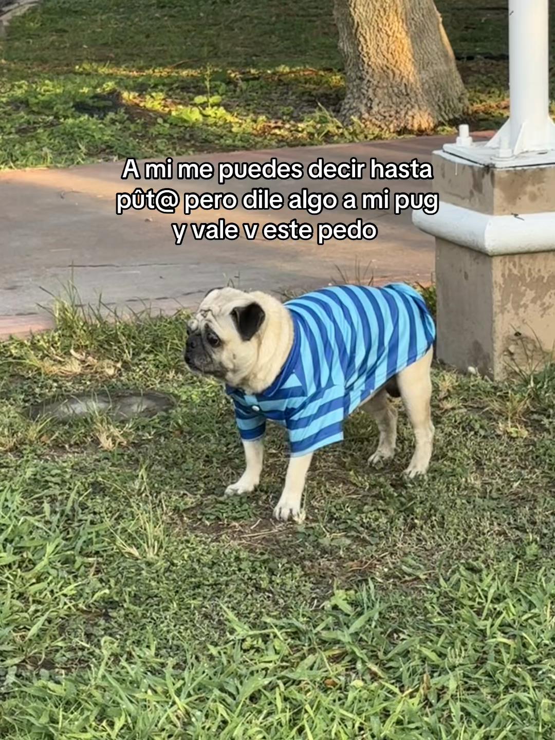 @danipentecost