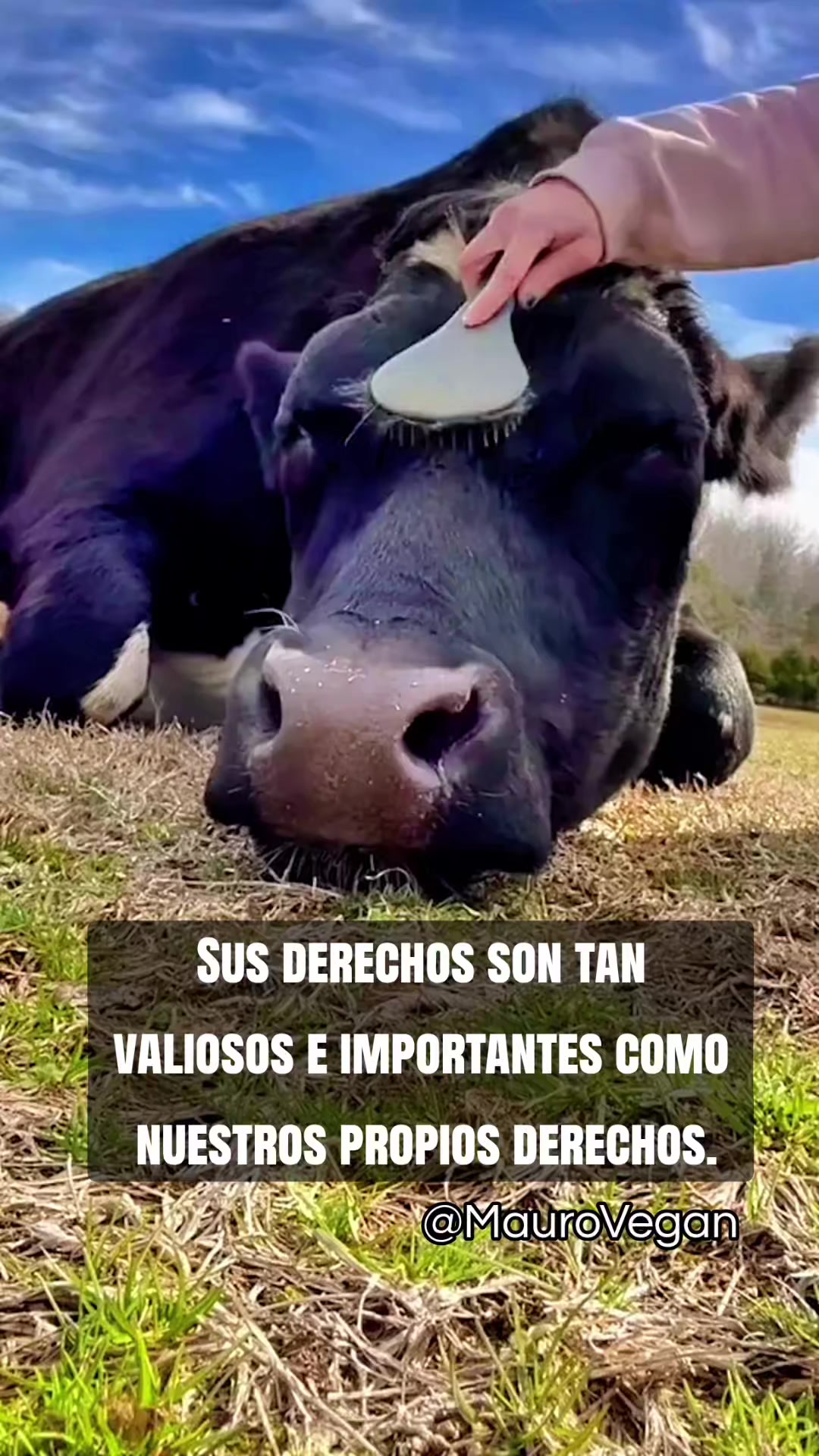 @Mauro Vegan๐