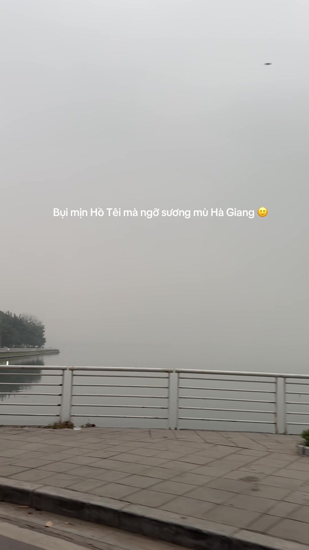 @Bạn đời của h&agrave;m duy tr&igrave;