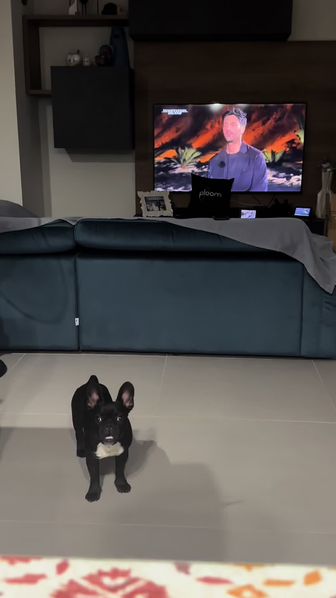 @Bullo_mal&ugrave;