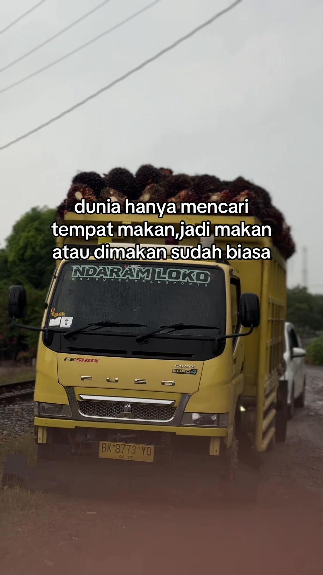 @K3NYOTT