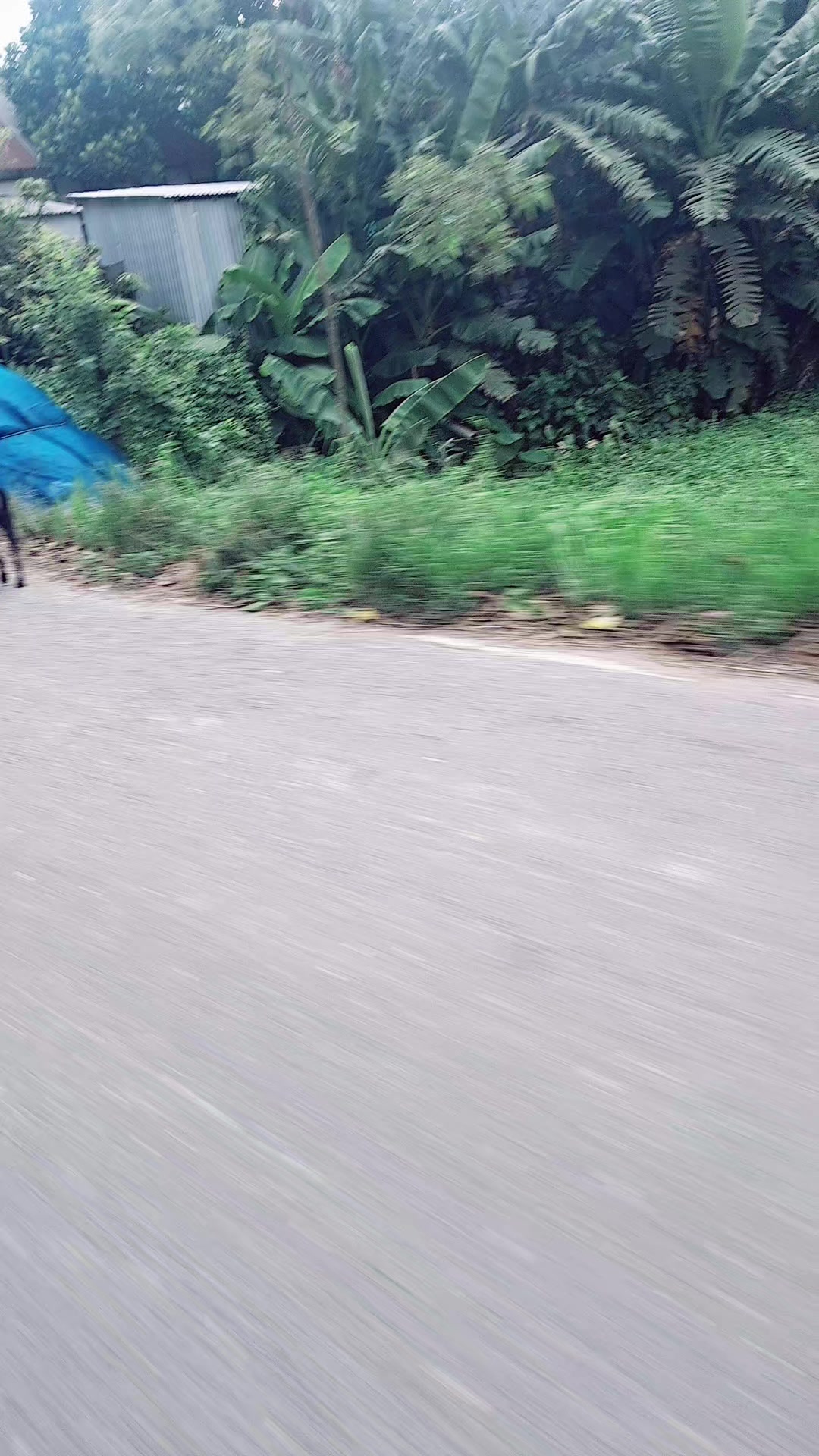 @জীবনের গল্প