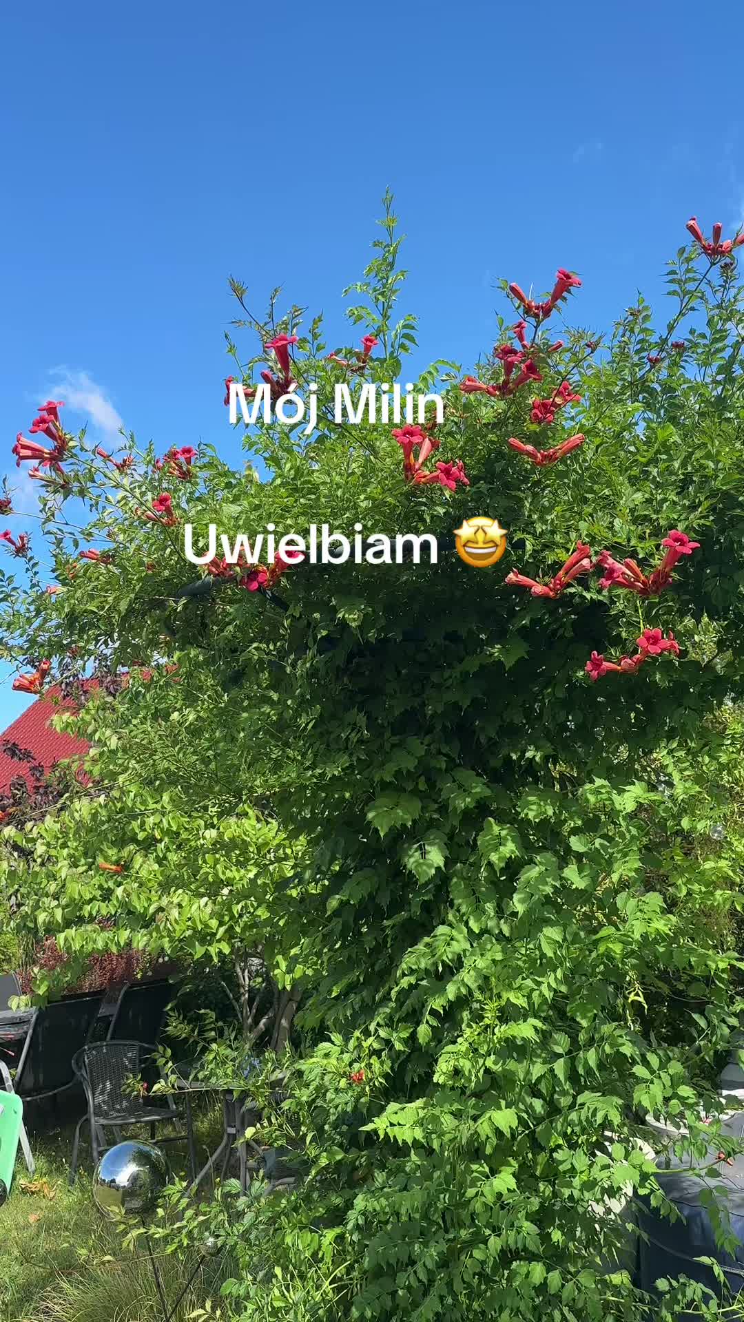 @Jolanta10