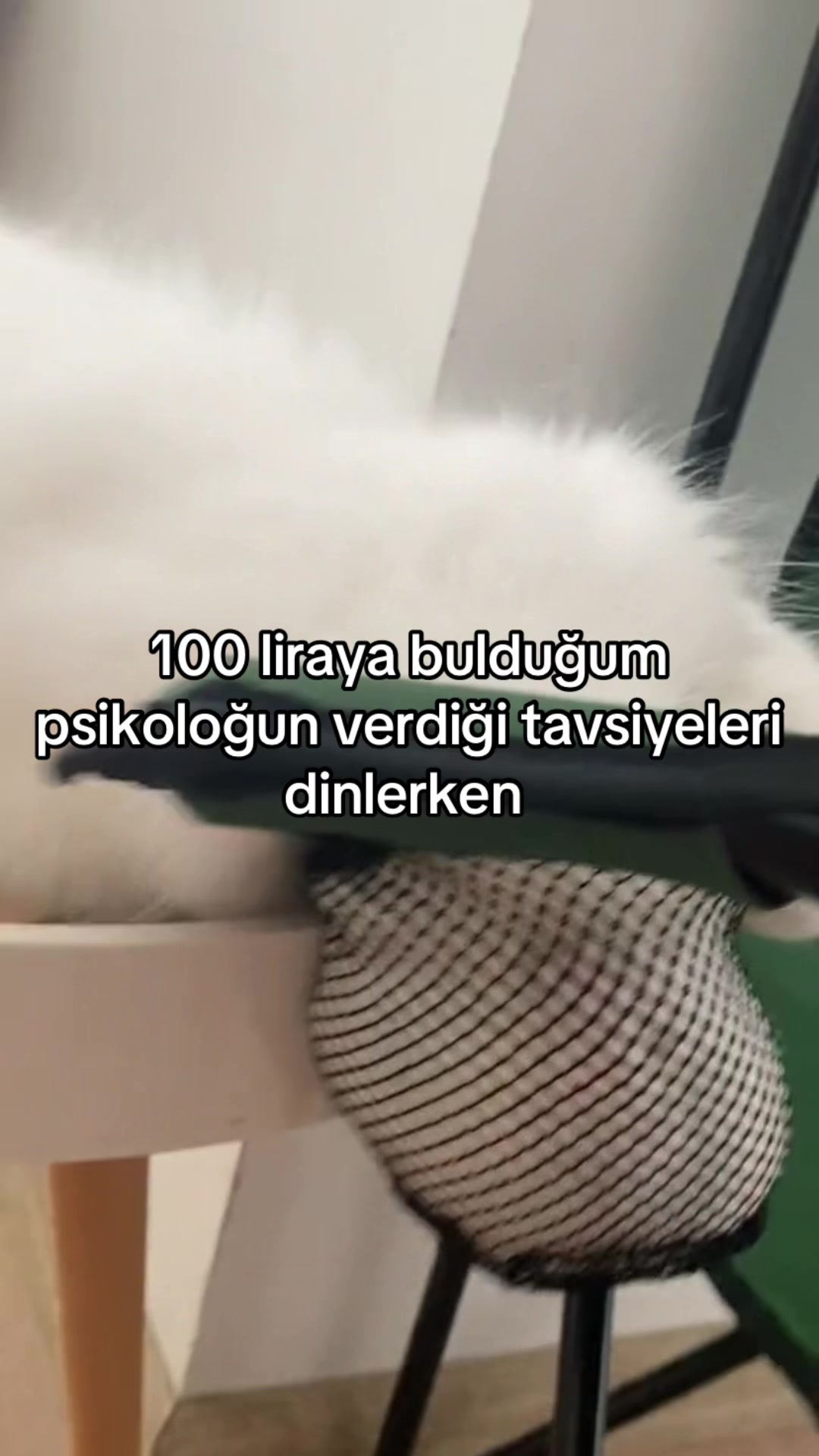 @yudummz_