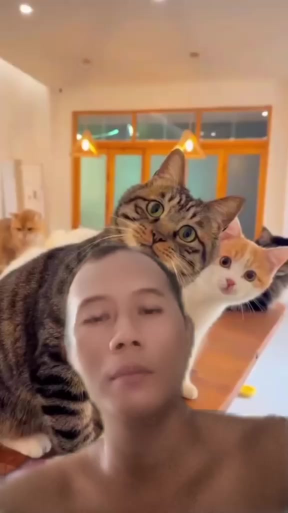 @sulianto
