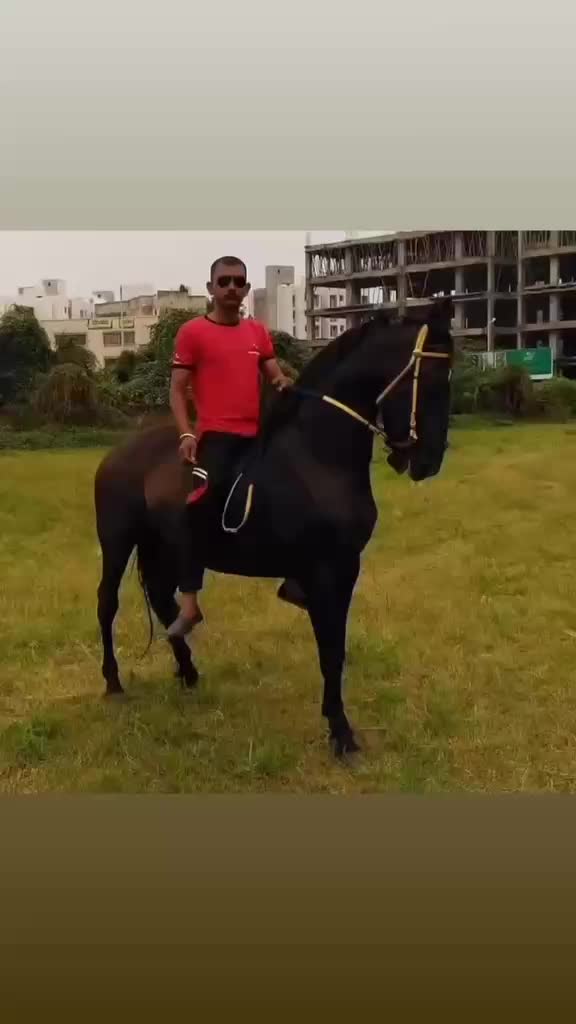 @vishal Patel 🐎 🐎 🐎