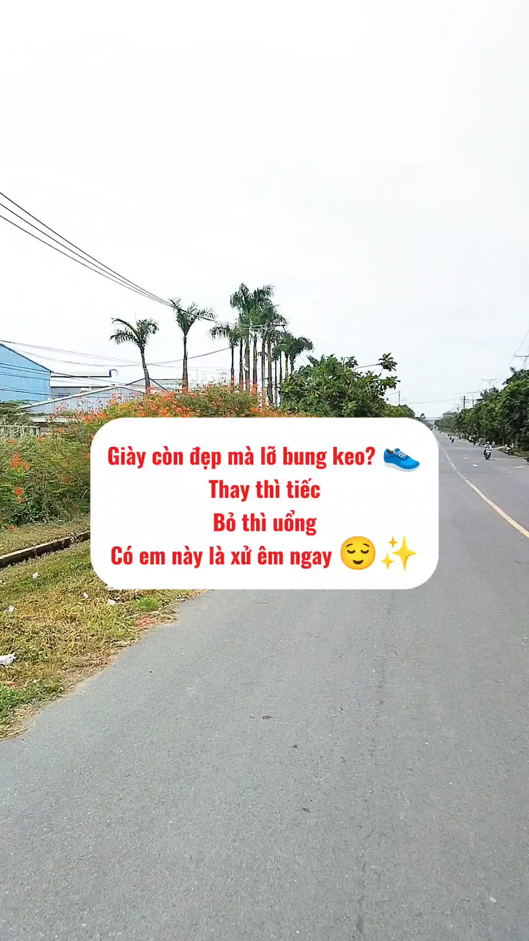 @Góc nhỏ gia dụng 115