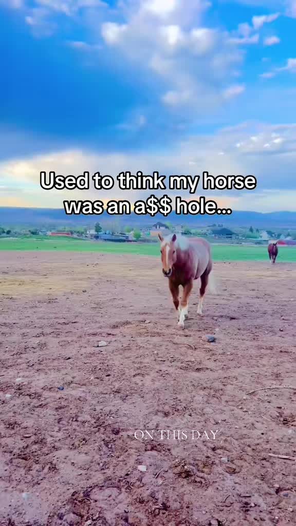 @Leslie