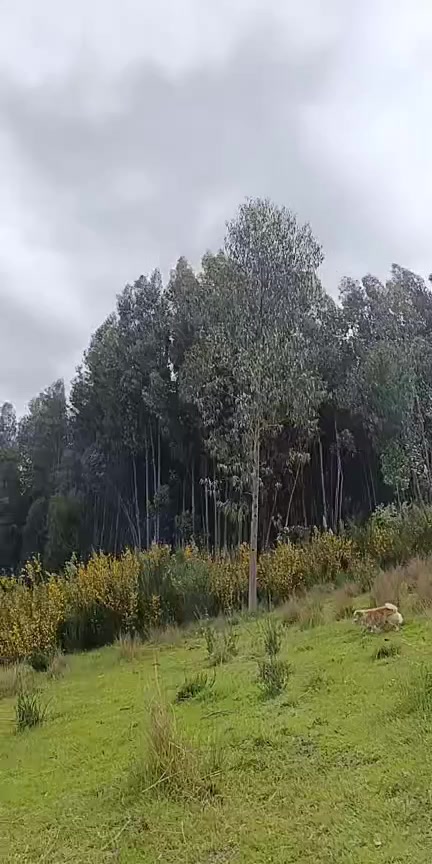 @Mar&iacute;a_leo