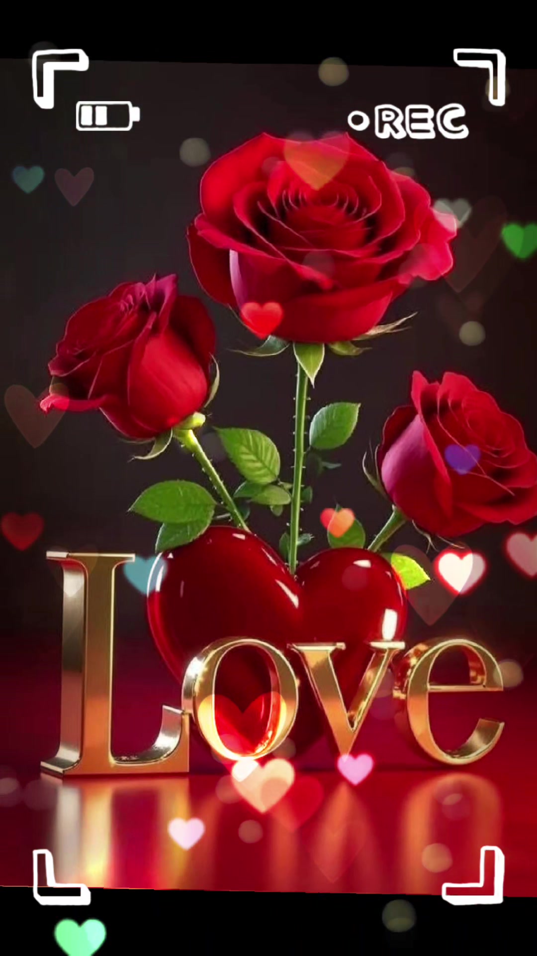 @Alie Suffian Turay