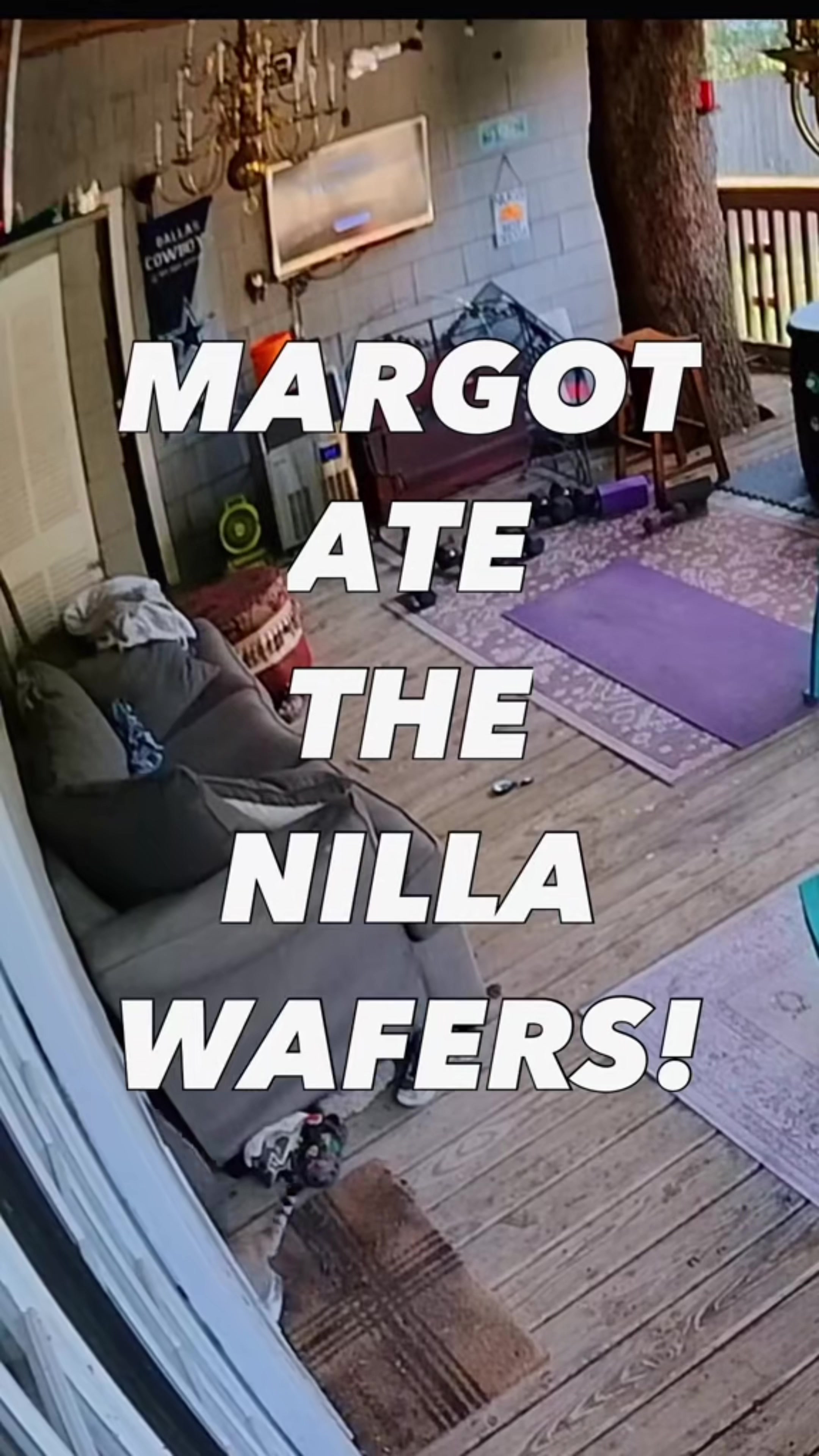 @MyDogMargot