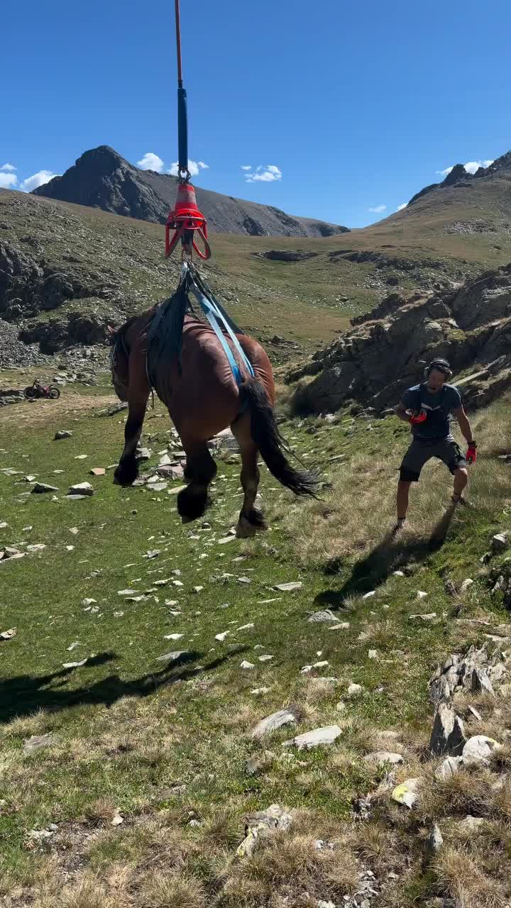 @ThunderGallops