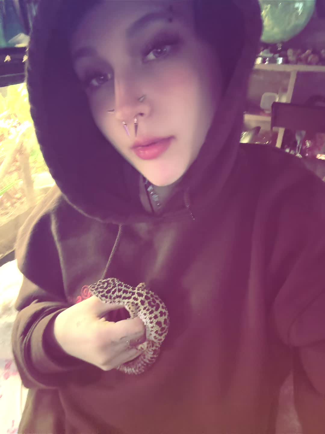 @⭐️ Artemis 🪼